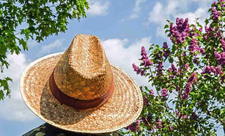 Cappello